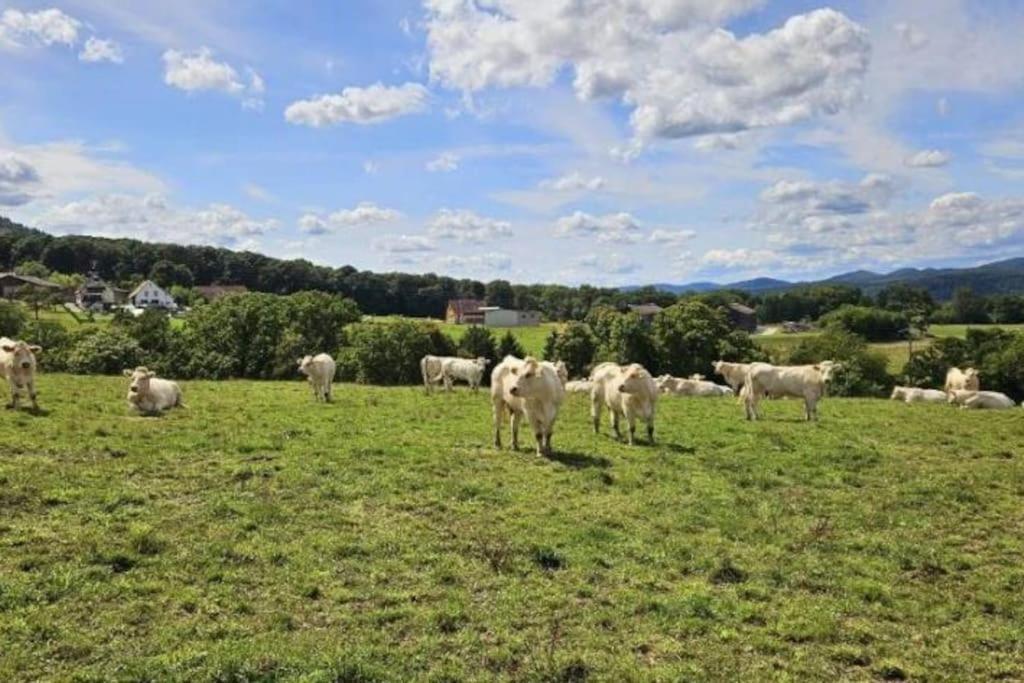 Corps De Ferme Traditionnel Lembach Bagian luar foto