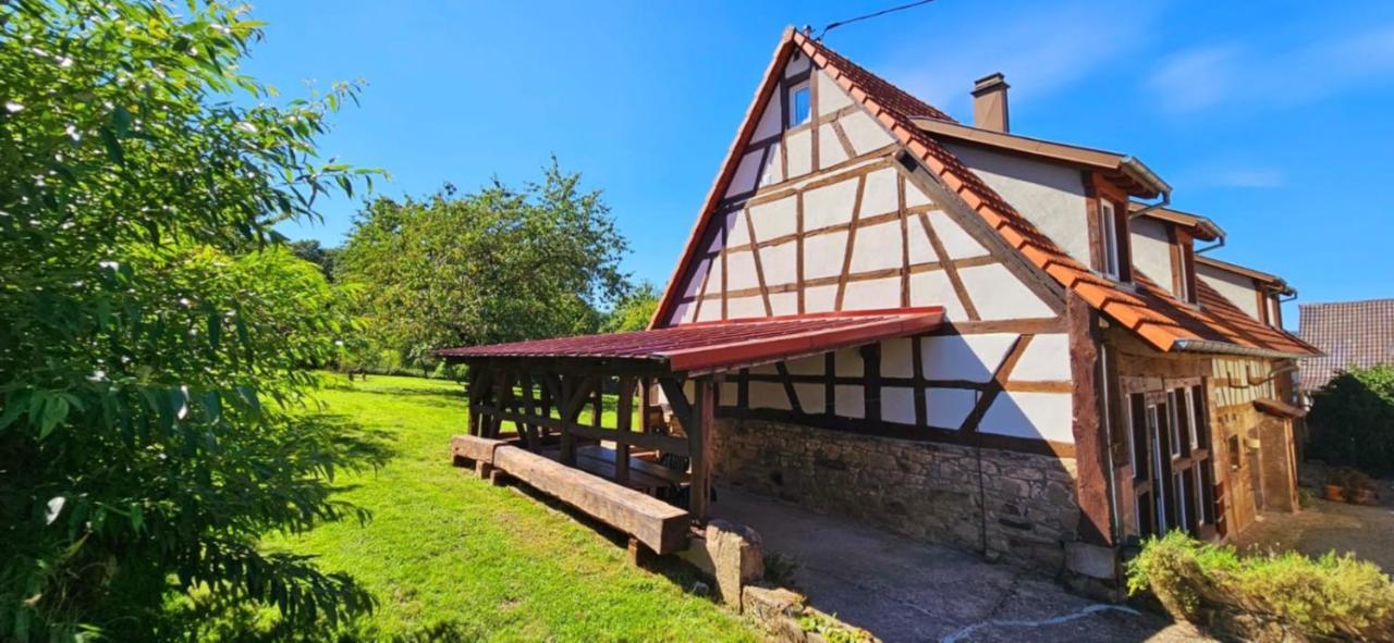 Corps De Ferme Traditionnel Lembach Bagian luar foto